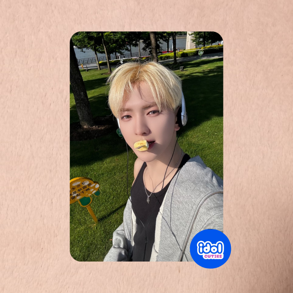 Idol Cuties - Tempest Card des unoff ảnh bo góc idol - chuyên in card theo yêu cầu