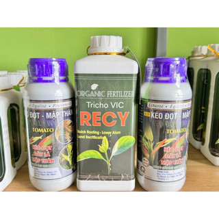 Kéo đọt-Mập thân (500ml)