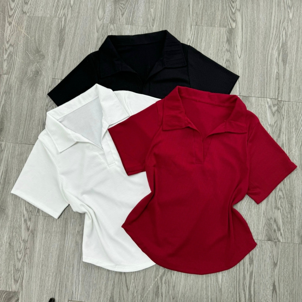 Áo Polo Nữ Bigsize Tay Ngắn Cổ Bẻ Vạt Bầu Che Bụng Vải Thun Gân Co Giãn Thoải Mái G120 | BigBuy360 - bigbuy360.vn