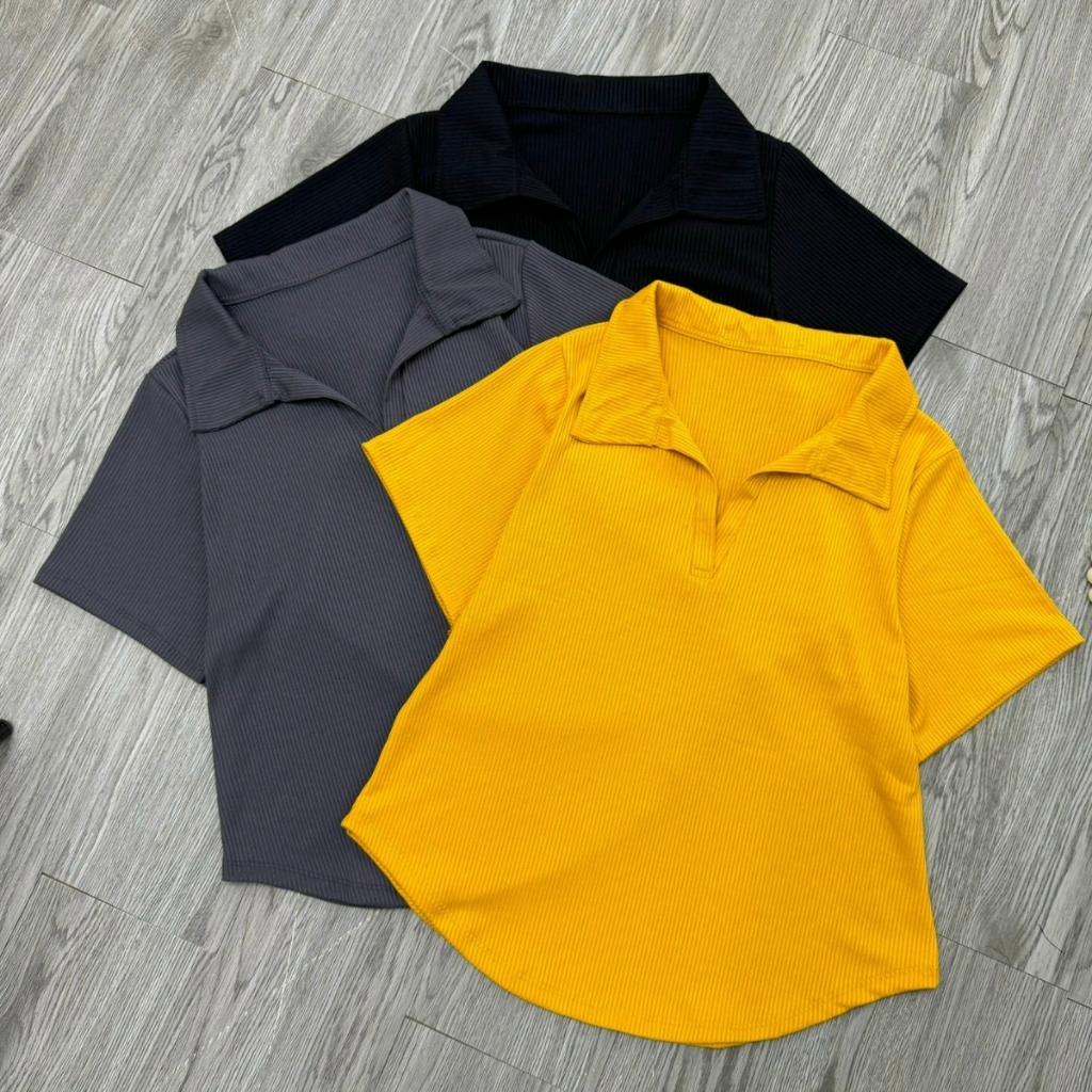 Áo Polo Nữ Bigsize Tay Ngắn Cổ Bẻ Vạt Bầu Che Bụng Vải Thun Gân Co Giãn Thoải Mái G120 | BigBuy360 - bigbuy360.vn