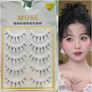 Lông mi giả gân trong, mi gân trong muse cao cấp muse