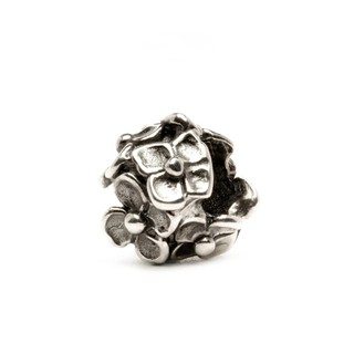 Trollbeads Bead Bạc Cao Cấp