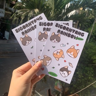 Set 15 postcard mặt in theo yêu cầu
