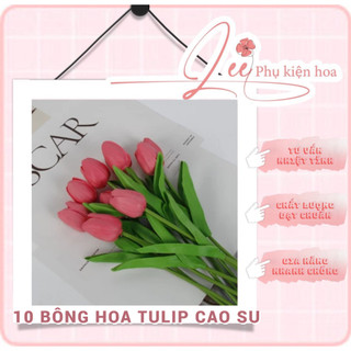 Combo 10 bông hoa tulip caosu