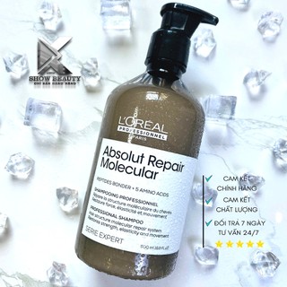 Dầu Gội Siêu Phục Hồi Cấp Phân Tử L'Oréal Professionnel - Absolut Repair Molecular 500ml