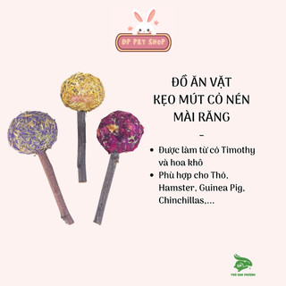 Kẹo Mút Cỏ Nén Dành Cho Thú Cưng - Thỏ Đan Phượng