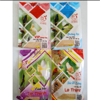 Cám căng lửa chim hút mật Lê Thịnh