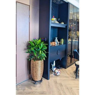 Kệ lót chậu cây cảnh có khay hứng nước