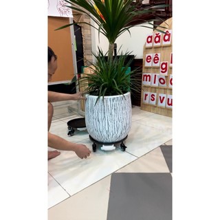Kệ lót chậu cây cảnh có khay hứng nước