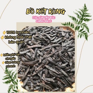 Bồ kết rừng khô , quả bồ kết