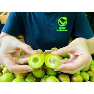 VG FARM - Mận róc hạt xanh - giòn, ngọt, róc hạt