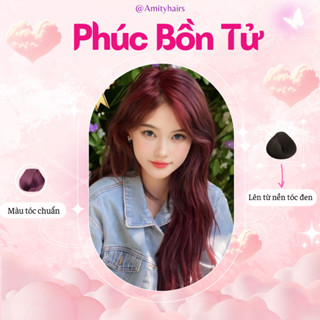 Thuốc nhuộm tóc màu PHÚC BỒN TỬ không tẩy Amityhairs, lên màu nhanh, tặng kèm dụng cụ nhuộm và oxy trợ dưỡng