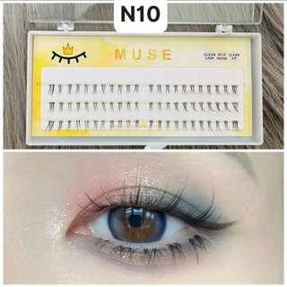 Lông Mi Muse cụm tách sợi đủ mã