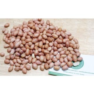 Lạc- đậu phộng tách vỏ