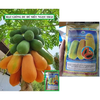Hạt giống đu đủ lùn siêu ngọt Thái Lan - Gói 30 hạt