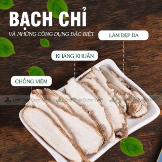 Bạch chỉ khô 500g, thái lát mỏng, trắng, thơm, hỗ trợ sức khỏe - Chợ Thảo Dược Việt