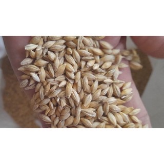 1kg Lúa mạch dành cho gia cầm