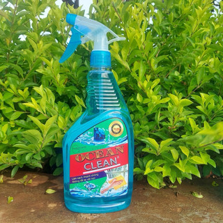 Nước rửa kính chuyên dụng cho xe ô tô 850ml