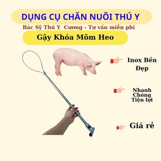 Gậy Khoá Mõm Heo, Khớp Mõm Lợn Chữ T, Gậy Bắt Chó - Dụng Cụ Hữu Ích Cho Chăn Nuôi và Thú Y