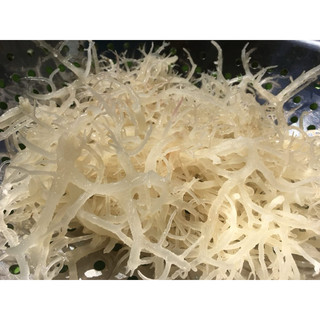 rong sụn gai- rong biển