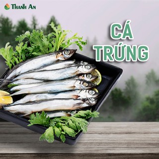  Cá trứng Nauy full trứng 100% khay 500g net 8