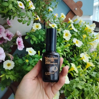 Tinh dầu dưỡng tóc Macadamia nut oil ( olive ) - 50ml