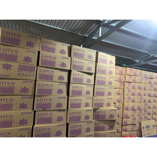 Thùng 20 viên xốp xanh lotus loại 1 cắm hoa tươi, hoa trang trí ,...