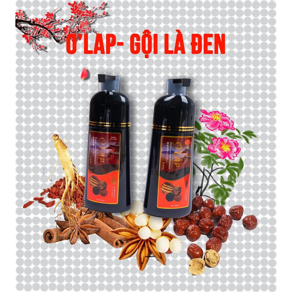 Dầu gội nhuộm tóc phủ bạc Olap chai 500ml