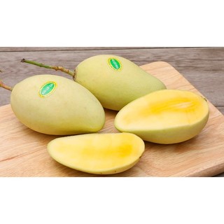 [Chỉ Giao HCM] Xoài Cát Chu - 1kg