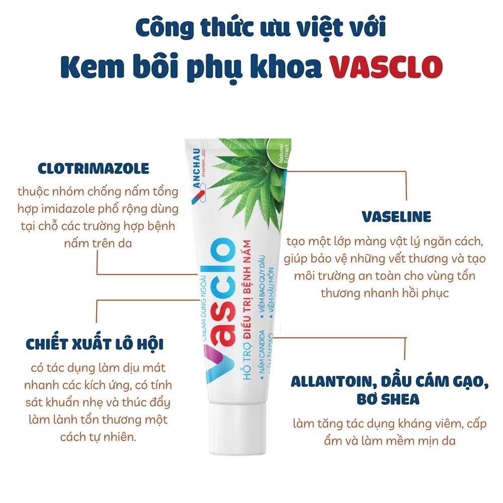 Kem Bôi Phụ Khoa Vasclo An Châu Giúp Giảm Tình Trạng Nấm Ngứa Vùng Kín (Tuýp 20gr)
