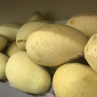 [Chỉ Giao HCM] Xoài Cát Chu - 1kg