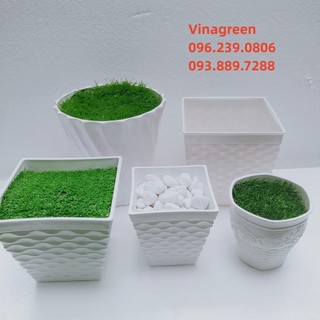 Chậu nhựa trồng cây - chậu cây giả - Cây giả decor, chậu nhựa decor, trang trí