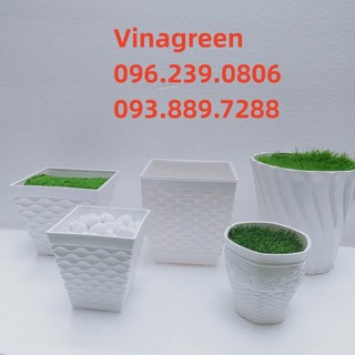 Chậu cây decor 12cm - 13cm - 14cm - 17cm - 18cm - 22cm, chậu nhựa trồng cây, chậu nhựa trang trí
