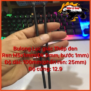 Bulong Lục giác thép đen M5x100mm