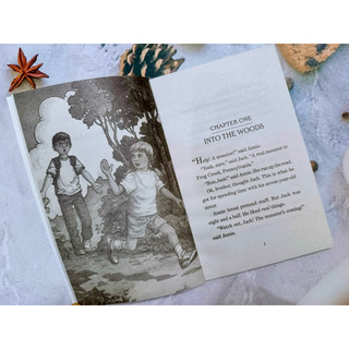 Bộ nhập - Magic Tree House Box Phần 1 (39q)
