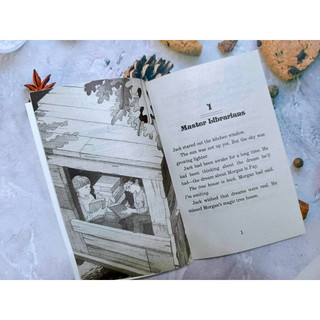 Bộ nhập - Magic Tree House Box Phần 1 (39q)