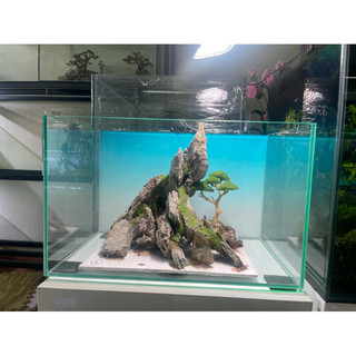 layout bonsai đá mini