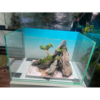 layout bonsai đá mini