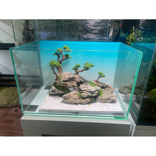 layout bonsai đá mini