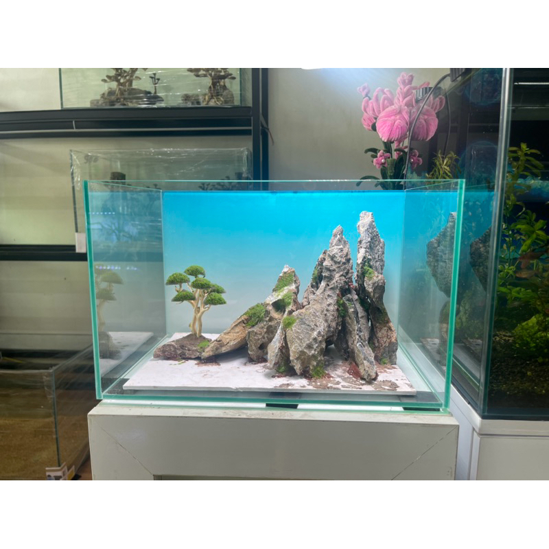 layout bonsai đá mini
