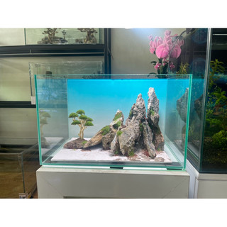 Layout bonsai đá mini