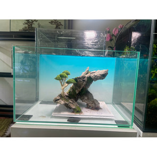 layout bonsai đá mini