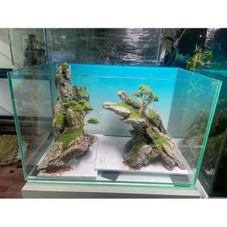 layout bonsai đá mini