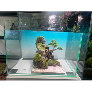 layout bonsai đá mini