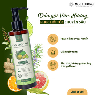 Dầu Gội Thảo Dược Thiên Nhiên MỘC HƯƠNG Phục Hồi Tóc Hư Tổn, Giảm Gãy Rụng, Gàu Ngứa, Mượt Tóc 250ml