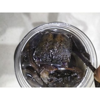 ba khía Miền Tây 500g ( không tính nước) (1 keo)