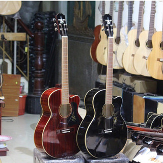 Đàn guitar acoustic gỗ thịt, có ty chính hãng S Việt mã ES160