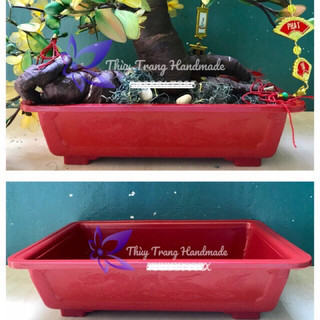 Chậu nhựa chữ nhật (3 màu đỏ, nâu, trắng) trồng cây bonsai hoặc cắm hoa voan bonsai