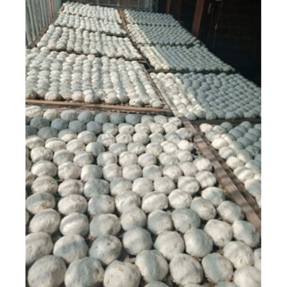 [ 1 Gói 100g Men Rượu ủ 10 Ký nếp ] Men ủ rượu xay sẵn/ loại cục làm cơm rượu/ nếp, nếp cẩm...