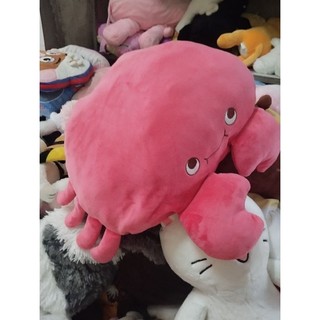 Gấu bông cua miniso size 40-45cm